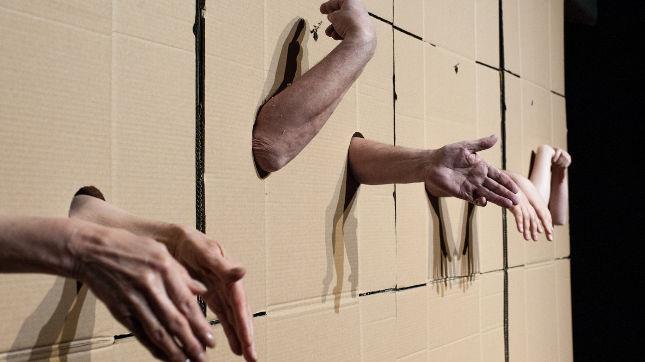 Zdjęcie kartonowej ściany z otworami, z których wystają ludzie ręce.
